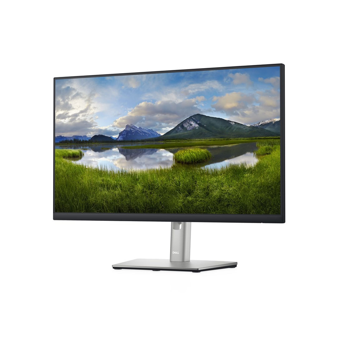 ShopAZ | Dell P2422H - LED - Full HD (1080p) - 23.8