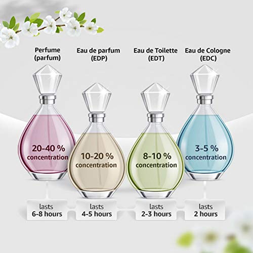 https://shopaz.vteximg.com.br/arquivos/ids/194133/image-0d23dd89ff324a549b7d71a599397c48.jpg?v=638718516104000000