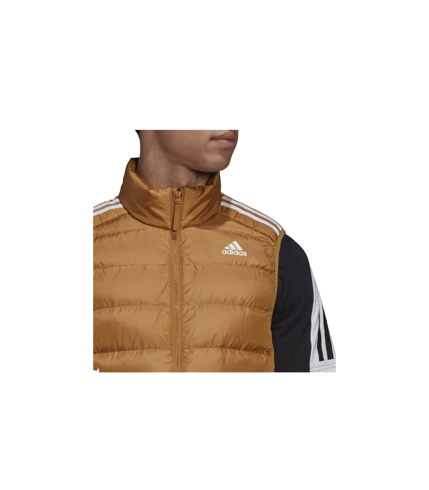 https://shopaz.vteximg.com.br/arquivos/ids/320729/image-95f4fb5aef8e4bef92eacdd95ccdde86.jpg
