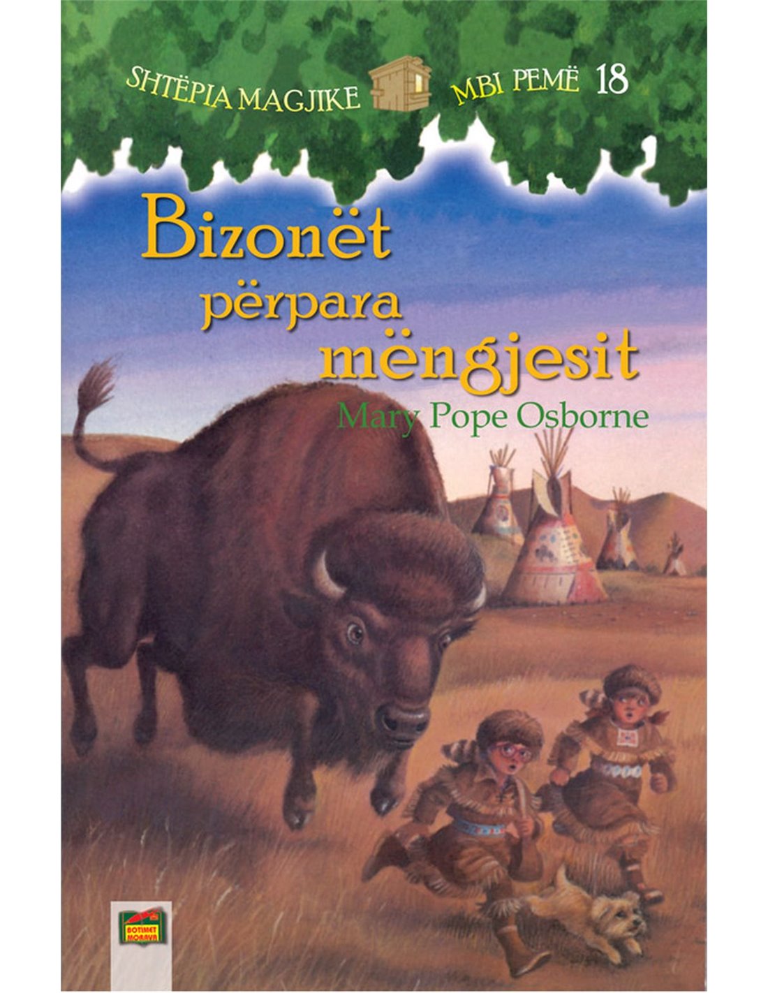 main product image