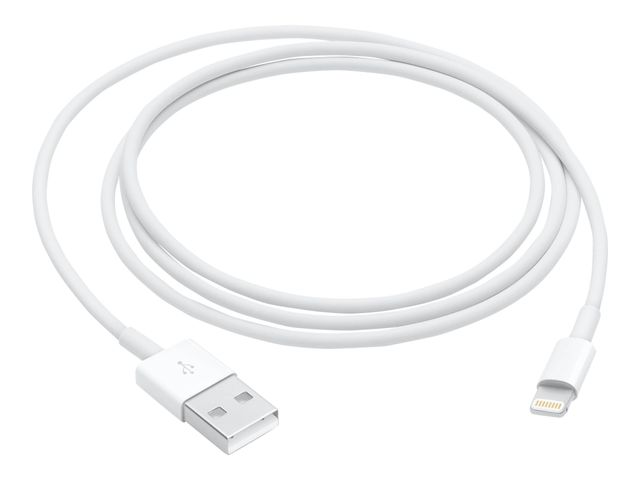 Apple Lightning cable - Lightning / USB - 1 m