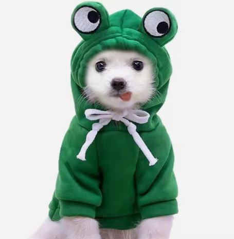 https://shopaz.vteximg.com.br/arquivos/ids/850184/image-e0a42c0f08de44aa900c4ebdeb09fd7d.jpg